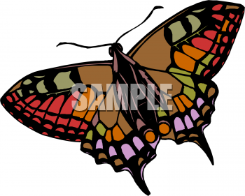 Insect Clipart
