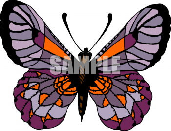 Insect Clipart