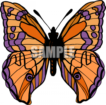 Insect Clipart