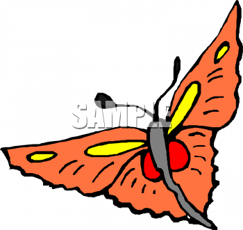Insect Clipart
