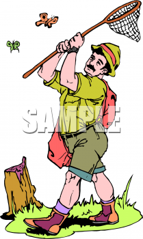 Insect Clipart