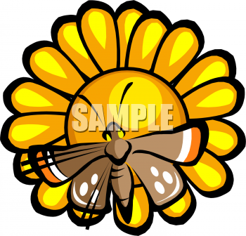 Insect Clipart
