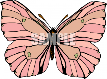 Insect Clipart
