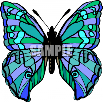 Insect Clipart