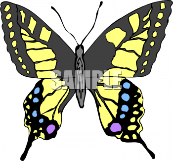 Insect Clipart