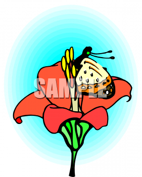 Insect Clipart