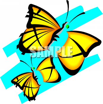 Insect Clipart