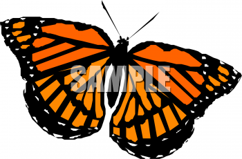 Insect Clipart