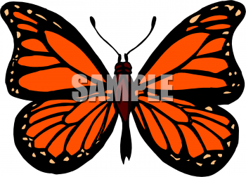 Insect Clipart