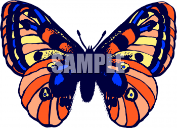 Insect Clipart