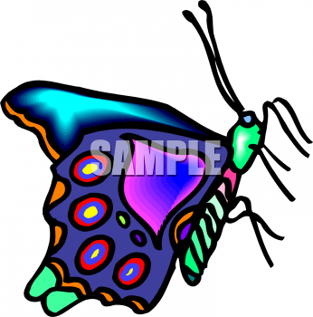 Insect Clipart