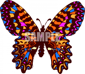 Insect Clipart