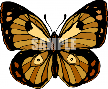 Insect Clipart