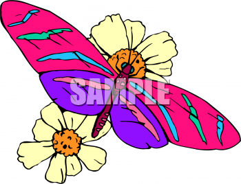 Insect Clipart
