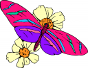 Insect Clipart