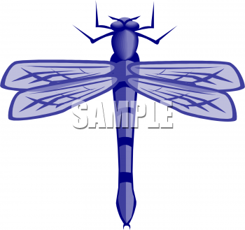 Insect Clipart