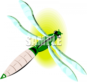 Insect Clipart