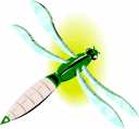 Insect Clipart