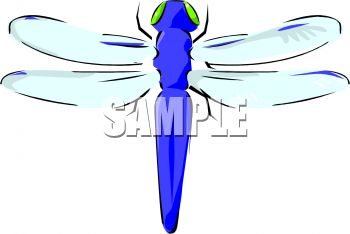 Insect Clipart