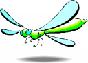 Insect Clipart