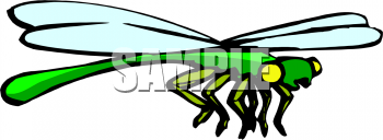 Insect Clipart