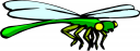 Insect Clipart