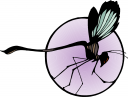 Insect Clipart