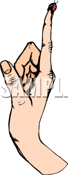 Beetle Clipart
