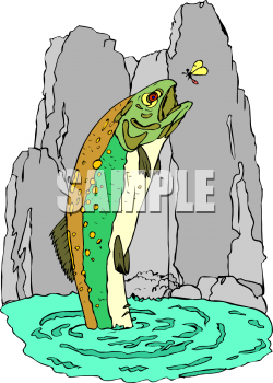 Insect Clipart