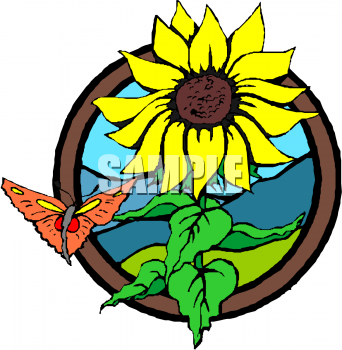 Insect Clipart