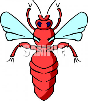 Insect Clipart