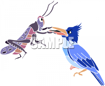 Bird Clipart