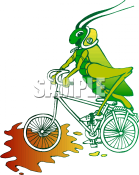 Insect Clipart