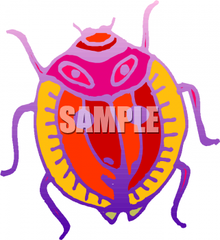 Insect Clipart