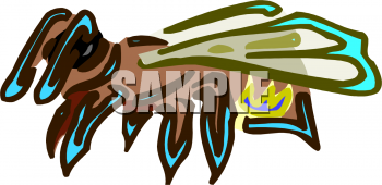 Insect Clipart