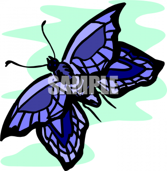 Insect Clipart