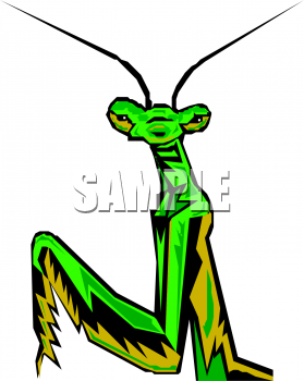 Insect Clipart
