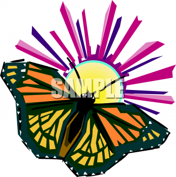 Insect Clipart