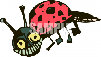Beetle Clipart