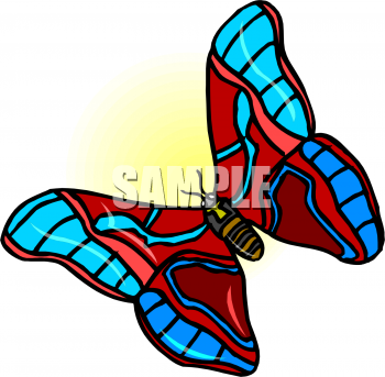 Insect Clipart