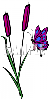 Insect Clipart