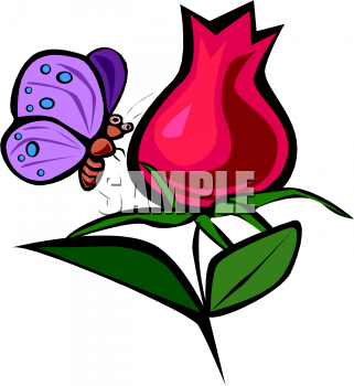 Insect Clipart