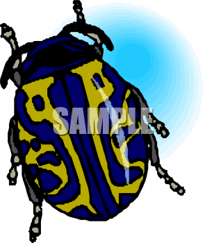 Insect Clipart