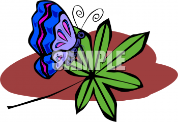 Insect Clipart