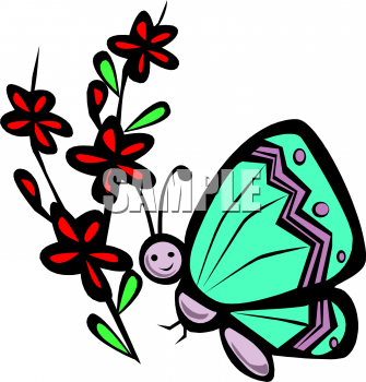 Insect Clipart