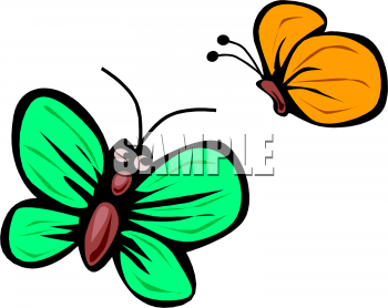 Insect Clipart