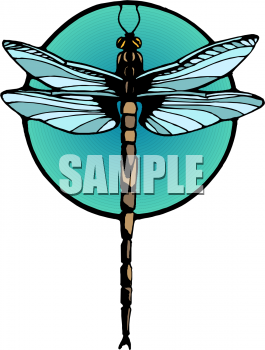 Insect Clipart