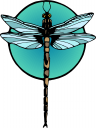 Insect Clipart