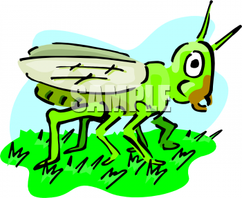 Insect Clipart