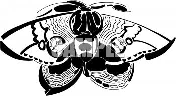 Insect Clipart